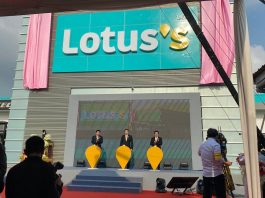 lotus's