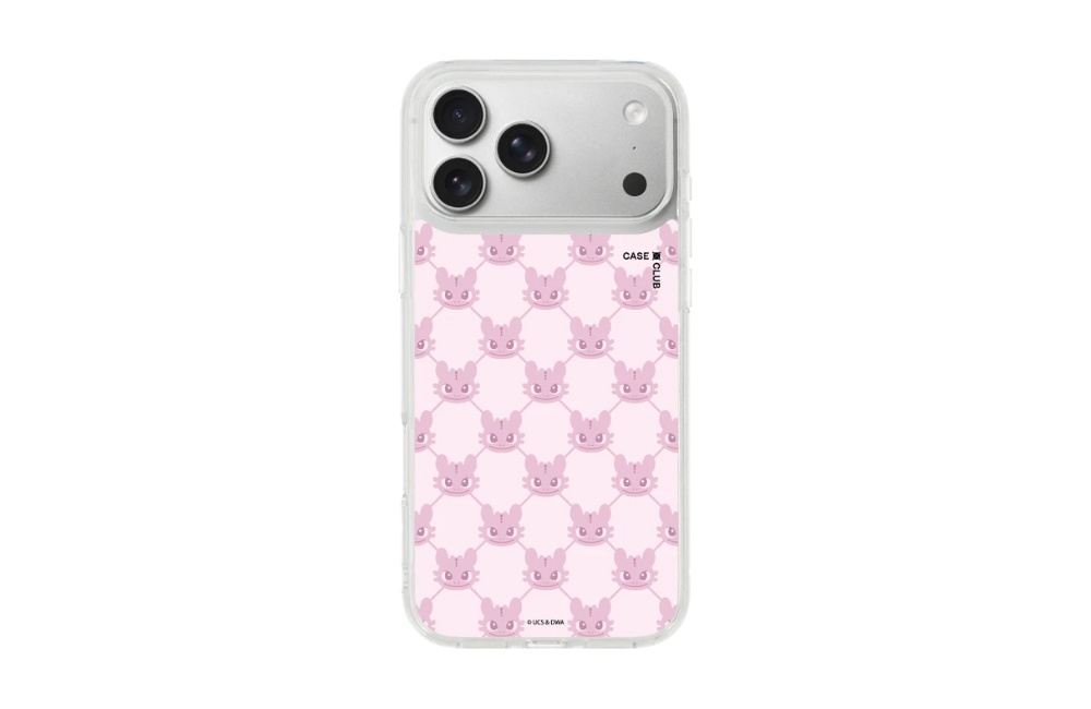เคส