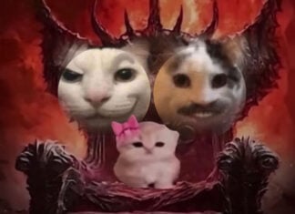 คนไทยเป็นทาสแมวหนักมาก ฐานผู้เลี้ยงโต 28% แซงน้องหมา เกิดเป็น ‘เศรษฐกิจแมว’ ที่ธุรกิจต้องตามให้ทัน แมว