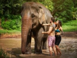 Things to Do in Chiang Mai