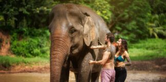 Things to Do in Chiang Mai