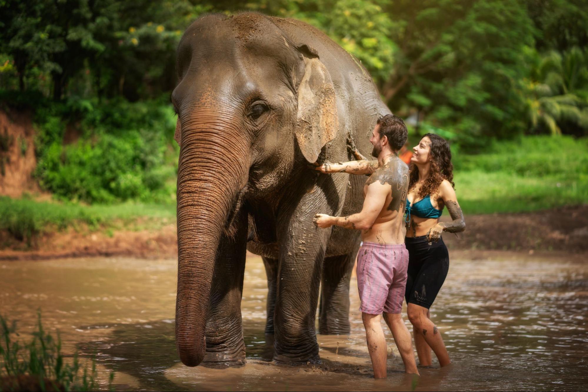 Things to Do in Chiang Mai