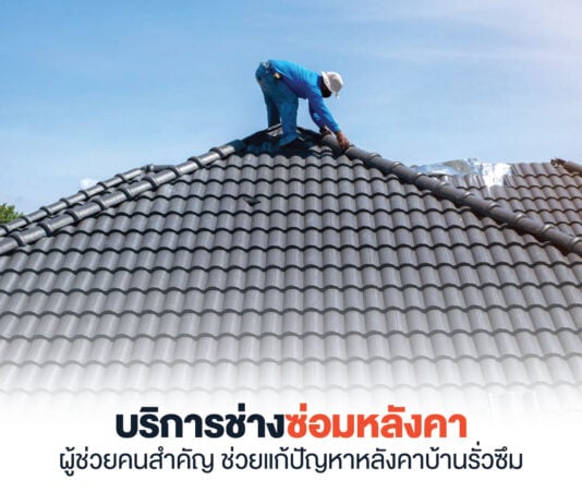 ช่างซ่อมหลังคา
