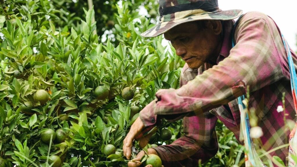 เกษตรกร