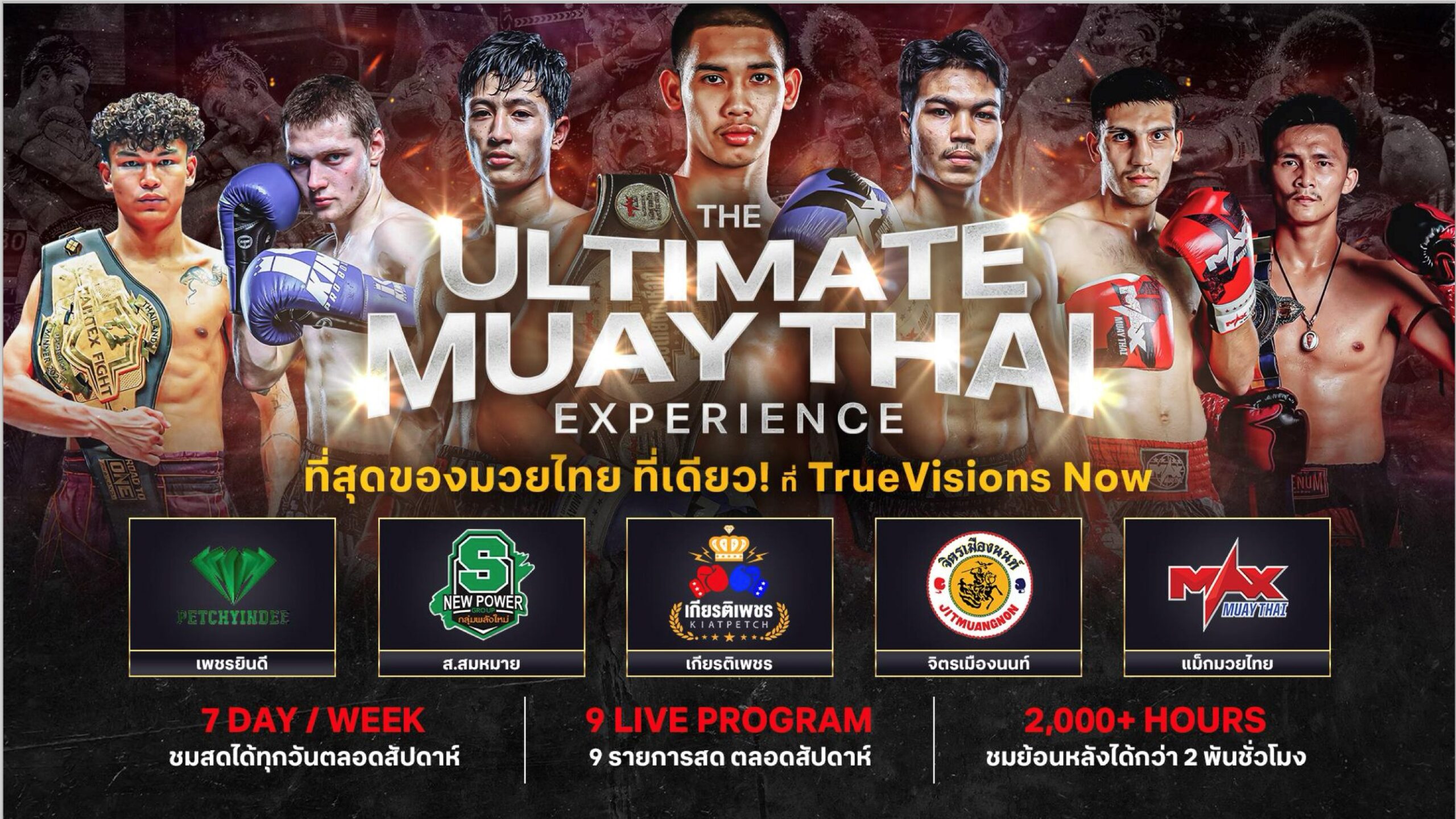 ทรูวิชั่นส์