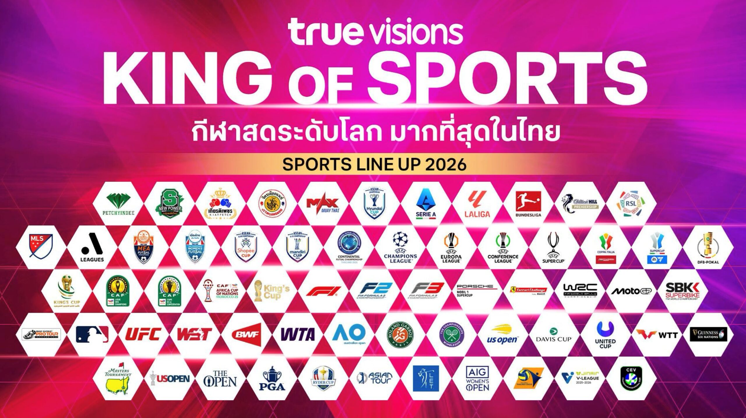 ทรูวิชั่นส์