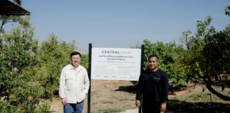 เซ็นทรัล ทำ