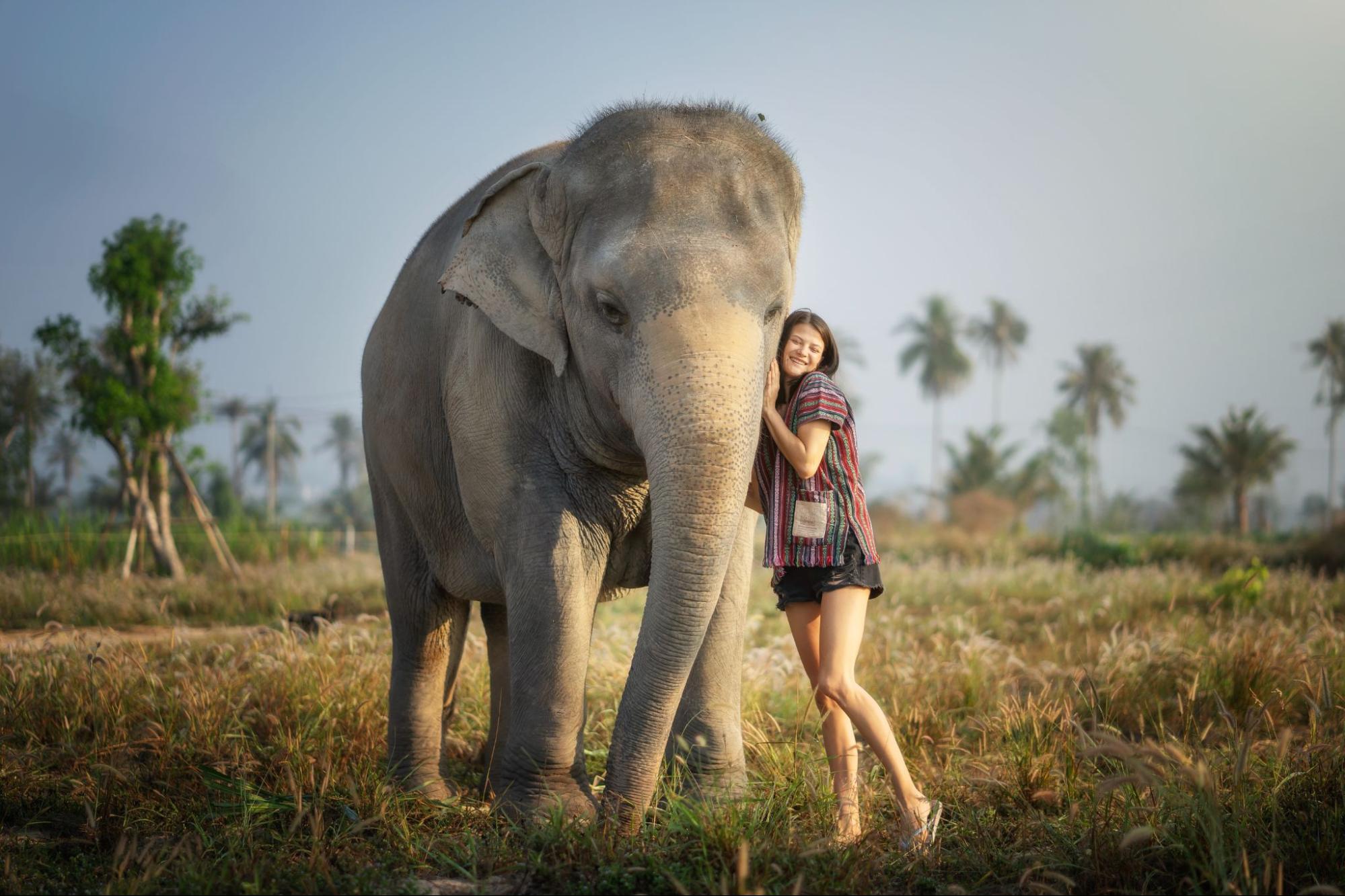 things to do in Pattaya for adults