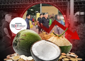 TCCT ขยายผลปมมะพร้าวราชบุรีราคาต่ำ พบเบาะแสฮั้วราคา แบ่งโควต้าส่งออก และสินค้าปลอมปน