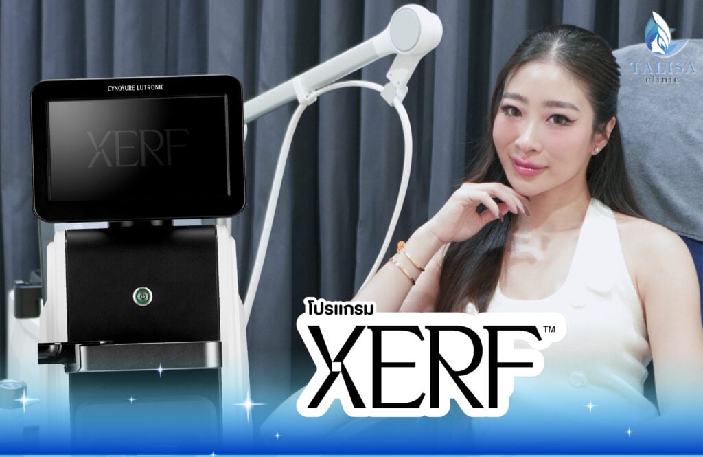 โปรแกรม XERF