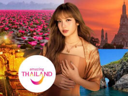 ททท ลิซ่า