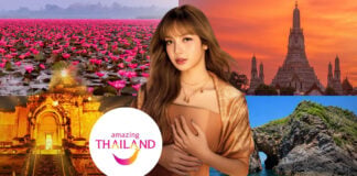 ททท ลิซ่า