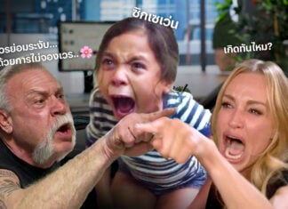 gen z gen y gen x boomer