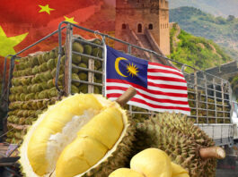 durian