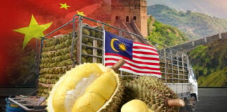 durian