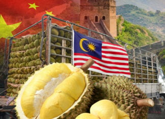 durian