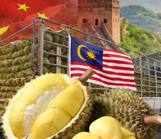 durian